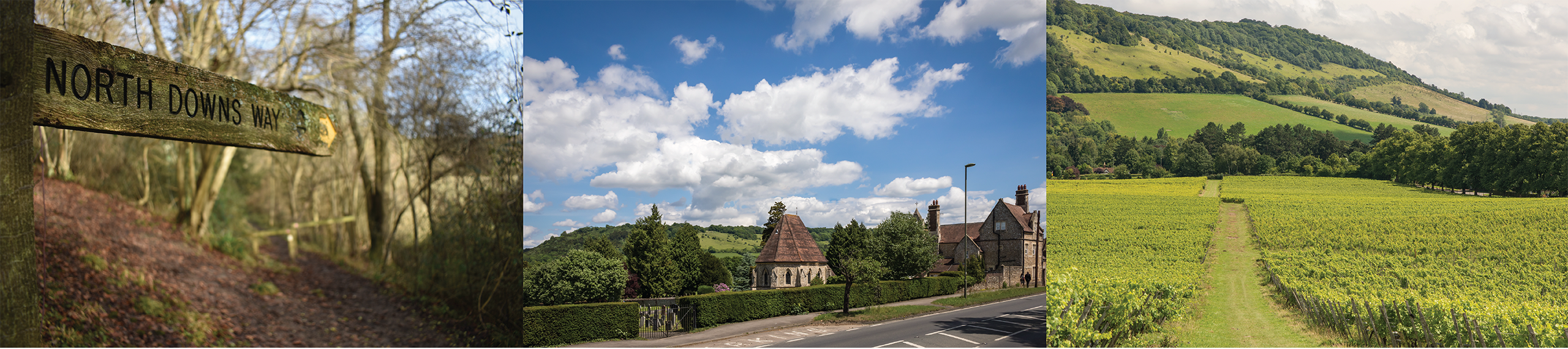 View of Box Hill in Surrey